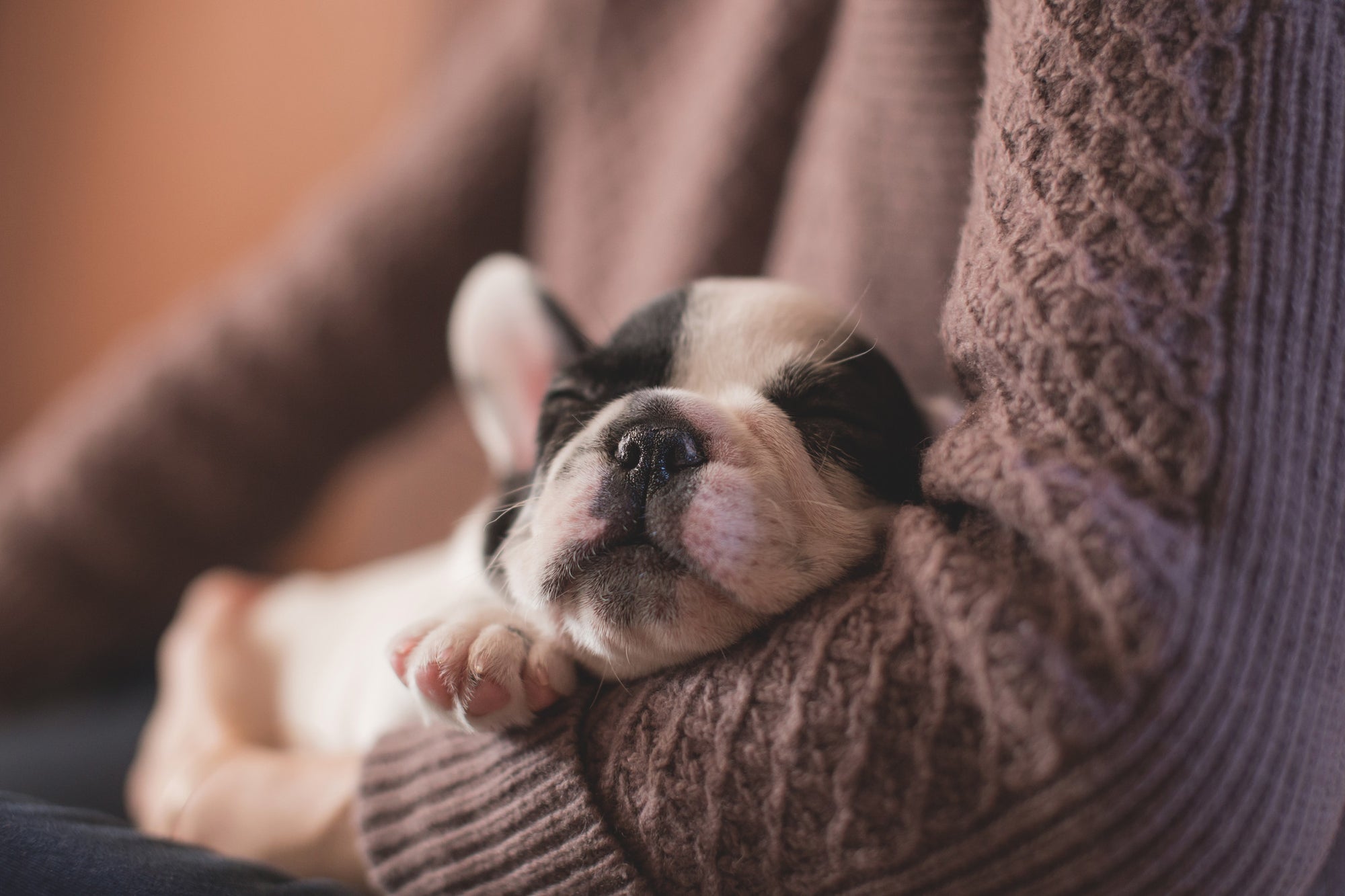 Spiritual Warrior Healthy living Sleep benefits